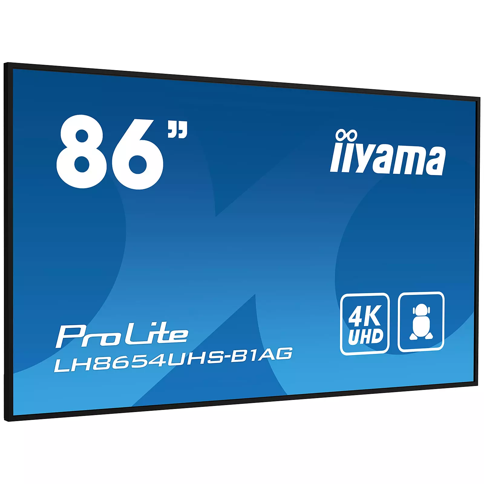 Moniteur 86″

iiyama