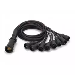 SRS Fouet soca femelle décalé